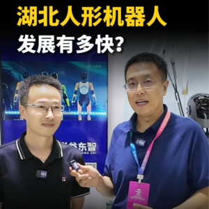 第307集 湖北人形机器人，发展有多快？