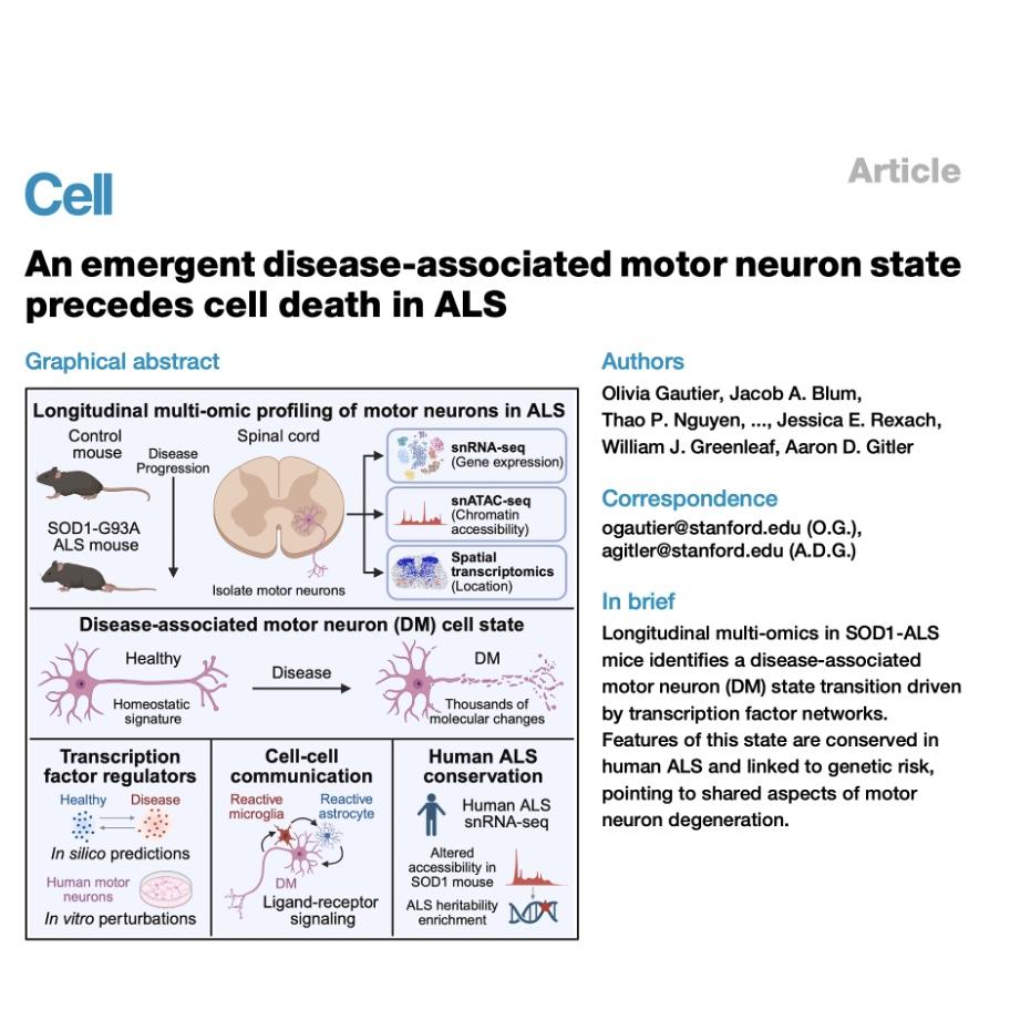 1320-Emergent Disease-Associated Motor Neuron State in ALS episode artwork