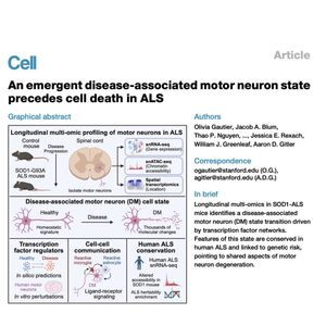 1320-Emergent Disease-Associated Motor Neuron State in ALS