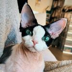 天生我百