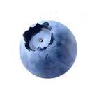 锅包肉大王_CwIS