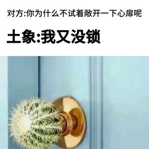 EP14.土象星座使用说明｜情绪价值欠费，办事效率拉满