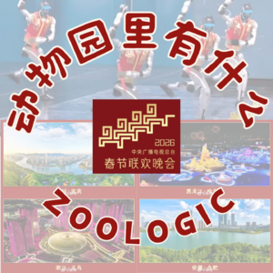 2026 马年春晚辣评：科技广告拉满，笑点稀缺，年味还在吗？