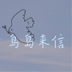 鸟岛来信