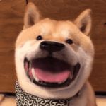 西瓜小驹驹