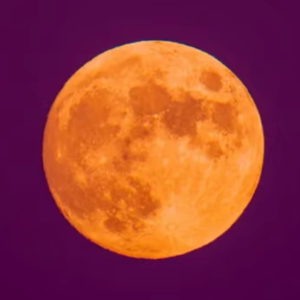 月亮，送给我们什么礼物？