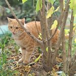 晒太阳比赛冠军