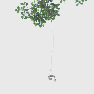 EP.27 | 伦理学入门（下）：近现代的伦理学发展