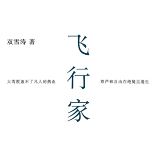 004 双雪涛《飞行家》：把故乡作为方法