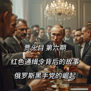 6.红色通缉令背后的故事:俄罗斯黑手党的崛起