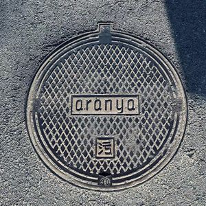 vol.136｜职场过来人的心里话：没有人心甘情愿做废柴