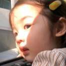 南山无梅落_gQ54