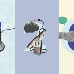 BBC Ideas｜如何做出更好的决策