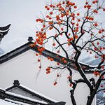 下雪啦啦