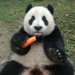 如果每天都可以happy