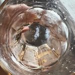 小浣熊爱吃巧克力