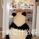 克雷Craig