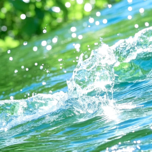 VOL432.孤独是强大的独立，令我从不曾畏惧过人生的变故。