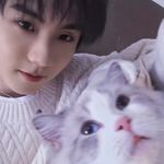 猪哲跑得掉