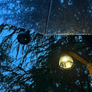 慢下来听-独属你的安静时候