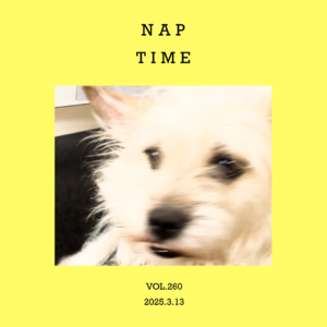vol.260：回笼觉，打盹，或者小憩时光～
