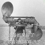 乌龙雅木茶