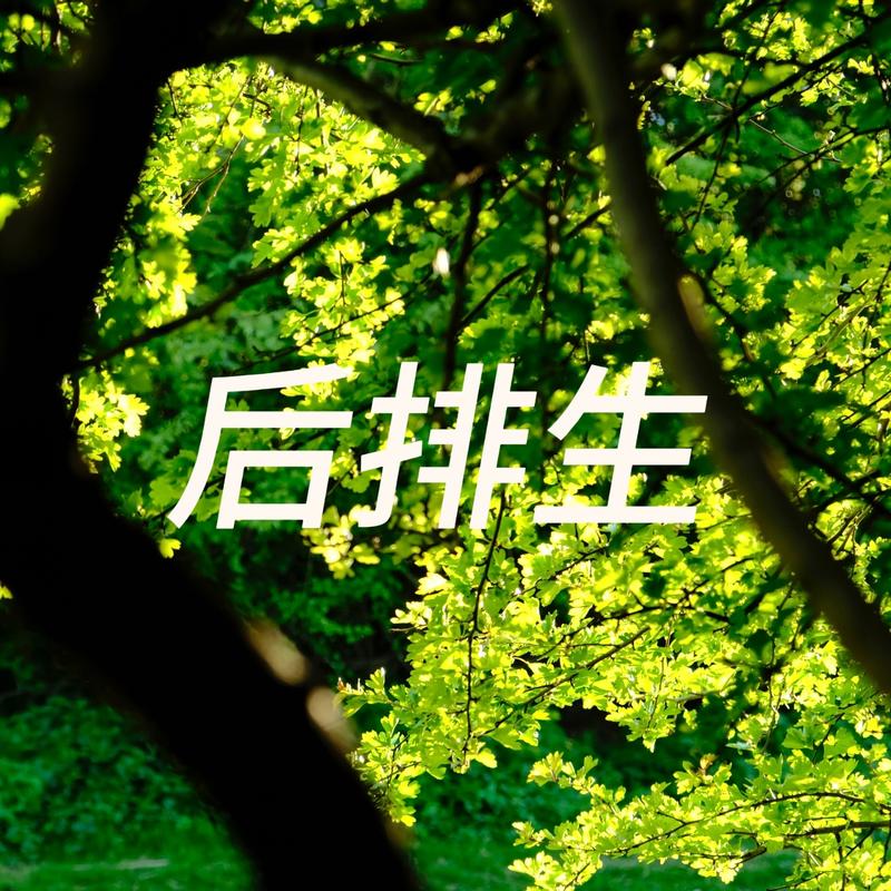 podcast-avatar