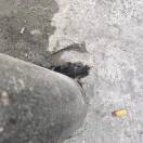 不在炕上跳舞
