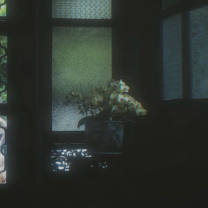 潮湿雨季的呓语