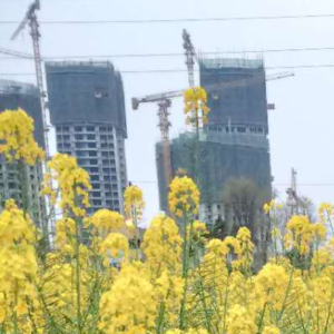 农民什么时候成了贬义词？