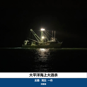 04. 太平洋海上大逃杀｜鲁荣渔2682号大屠杀案