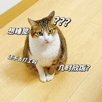 小丫嘛小丫嘛小太阳