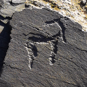 11 · 我在草原找文物：与一线工作者聊文物普查