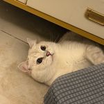 E个漂亮宝贝