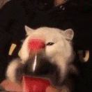 Ebak