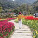 HD150770z