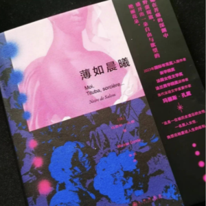 血脐上的潮汐:被殖民母系的重生密码