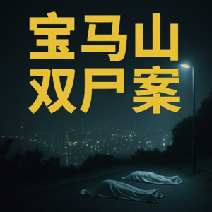 宝马山双尸案（真实案件）