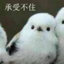 那也行