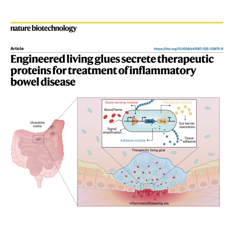 752-Engineered Living Glues for Inflammatory Bowel Disease episode artwork
