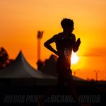 繁华去清雅自回