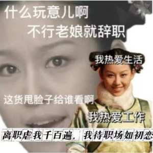 EP12离职虐我千百遍，我待职场如初恋