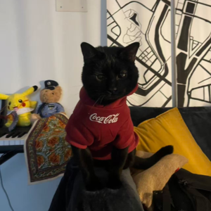 第十期：段段——命运这条河流，你只要顺流而下就好了