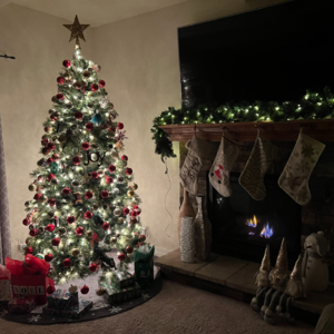 71. 关于2025的四十个问题