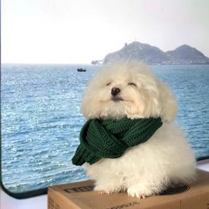 卷卷与淏淏的小宇宙