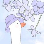最喜欢的花