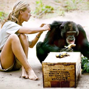 Vol.22-《珍》：主播八卦起来竟然如此兴奋？！