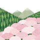 远山远山远山