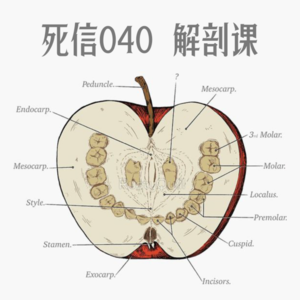 解剖课|你们是我带过的最“诡异”的一届学生|死信040
