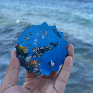 011.埃及旅居，在Dahab躺平、去红海潜水...人生到底可以精彩成什么样？